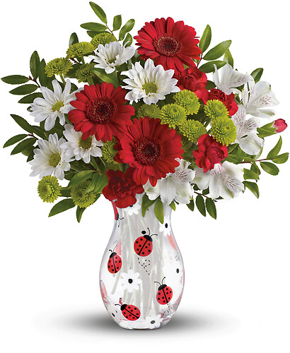 Lovely Ladybug Bouquet