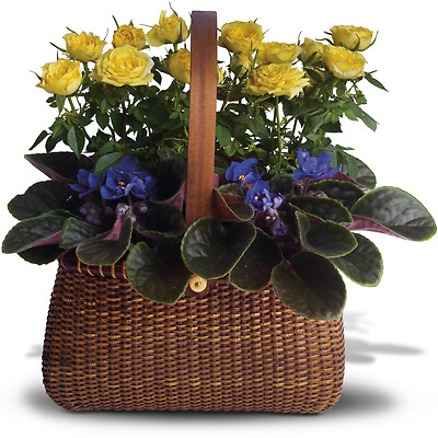 Garden To Go Basket