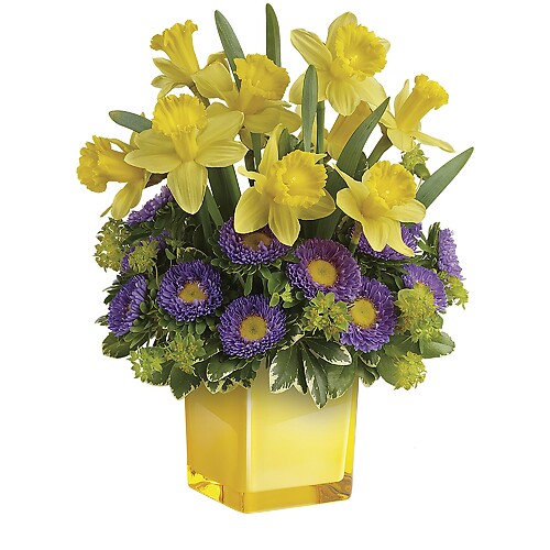 Playful Springtime Daffodil Bouquet