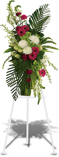 Gerberas and Palms Spray